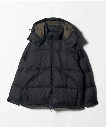 DAIWA PIER39 테크 알파인 다운 파카 다운