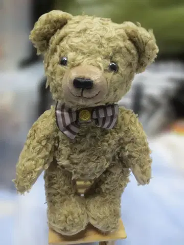 택 포함 세키구치 리틀 노스탤지어 에디 테디베어 28cm