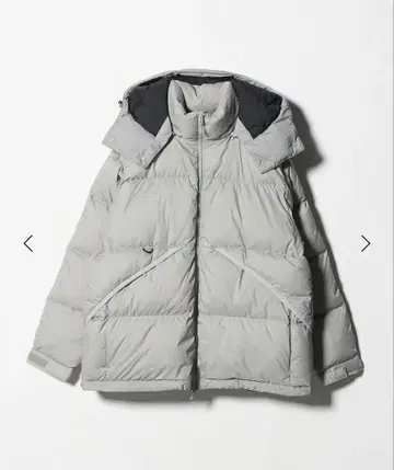 DAIWA PIER39 테크 알파인 다운 파카 다운