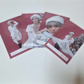 사쿠라자카 후지키 카린 2025년 산타 의상 브로마이드