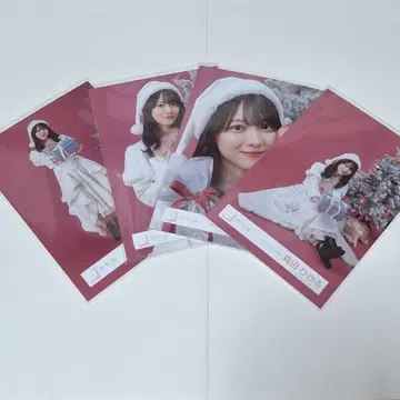 사쿠라자카 모리타 히카루 2025년 산타 의상 브로마이드