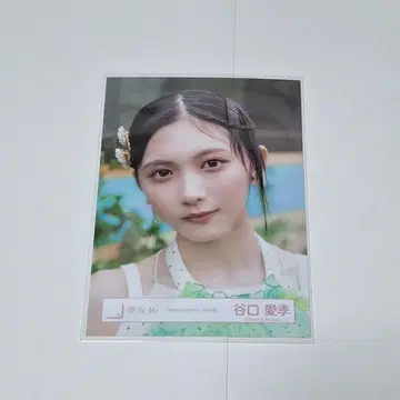 사쿠라자카 타니구치 아이리 코가라시는 울지 않아 MV 의상 브로마이드