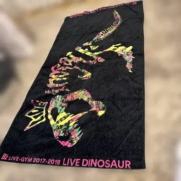 B'z LIVE-GYM 2017-2018 타월