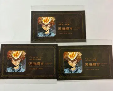 가정교사 히트맨 REBORN! 사와다 츠나요시 명함 카드 컬렉션