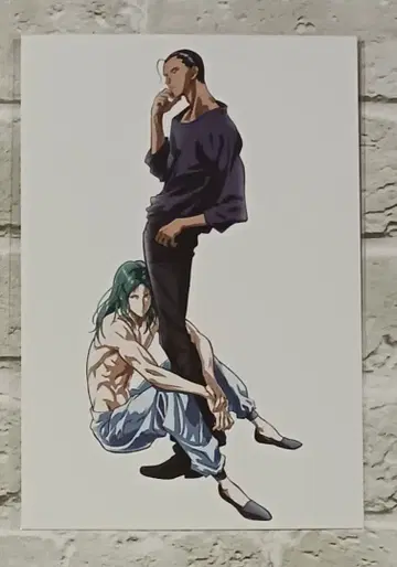 센스이 시노부 나무 6세트