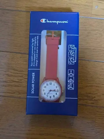 챔피온 솔라 파워 워치 (R05A-501VK)