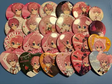 사토미 군 캔뱃지 묶음 판매