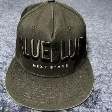 블루블루 BlueBlue 플랫 캡 낚시 한정품