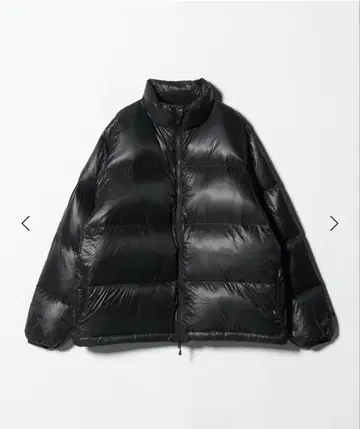 L 사이즈 DAIWA PIER39 TECH ULTRA LIGHT DOWN