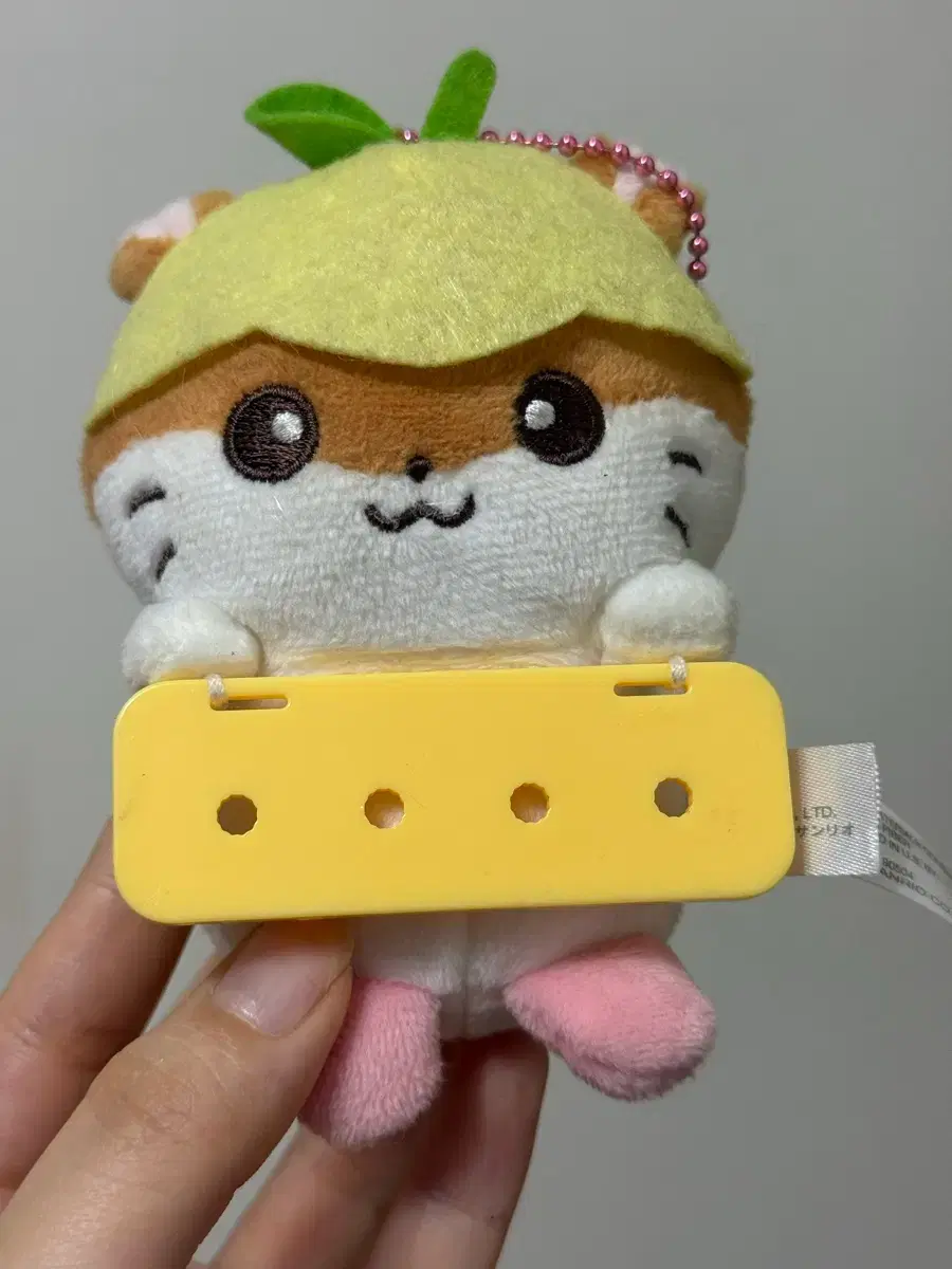 Sanrio Kuririn My Pachirun Doll