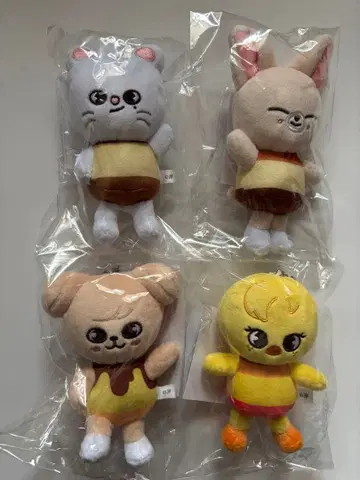 Straykids skzoo 스키즈 백참