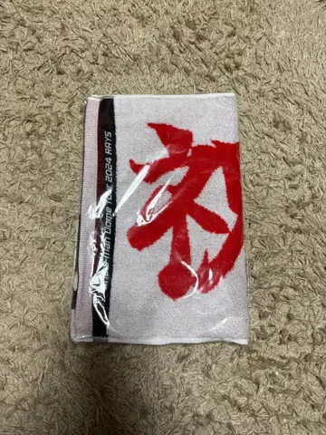 Snow Man Dome Tour 2024 RAYS 타월