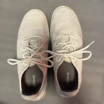 Allbirds 화이트 스니커즈