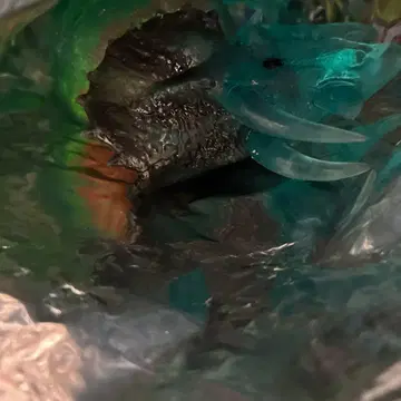 데아고스티니 공룡 어택 앤드 코 트리케라톱스 슈퍼 레어 바이컬러 미사용