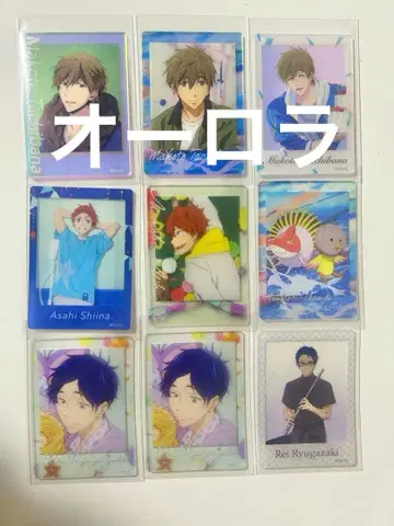Free! 폴라로이드풍 클리어 카드 마코토 아사히 레이 뱌타로
