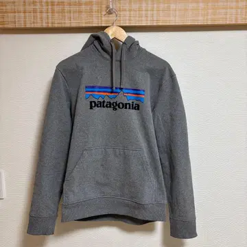 Patagonia 파타고니아 P6 로고 업라이저 후디
