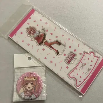 컬러풀 피치 노아 세트 컬러풀 피치 뮤지엄