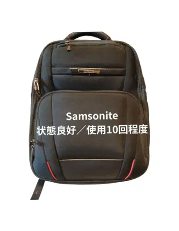 Samsonite Pro DLX 5 백팩 상태 좋음