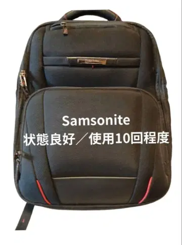 Samsonite Pro DLX 5 백팩 상태 좋음