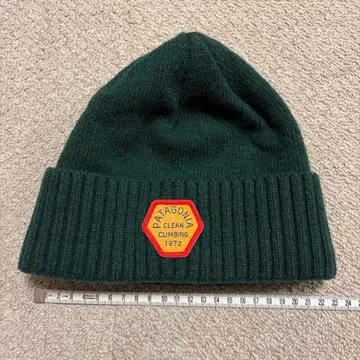 Patagonia 다크 그린 브로디오 비니