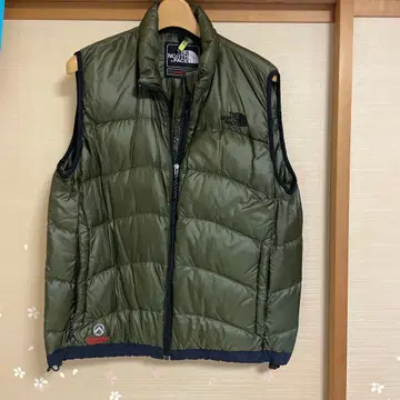 THE NORTH FACE SUMMIT SERIES M 다운 베스트