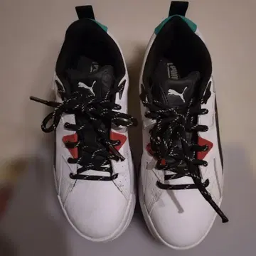 Puma 스포츠 슈즈 화이트/블랙/틸