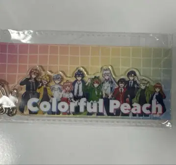 컬러풀 피치 전시회