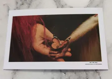 낙하의 왕국 입장객 특전 메모리얼 카드