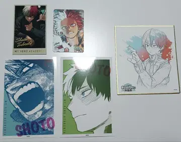나의 히어로 아카데미아 원화전 토도로키 세트