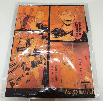 히나타 쇼요 빅 실루엣 T셔츠 벌스데이 2023 하이큐!!