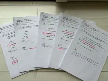 일본복지대학 유보특례 시험 확인 테스트 2025년 유치원 교사