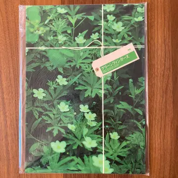 아라시 아이바 마사키 무대 [ 그린핑거스 ] 팜플렛