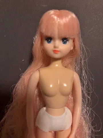 즐거운 인형 아키짱