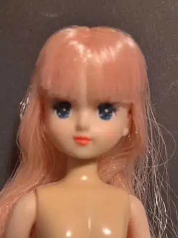 즐거운 인형 아키짱