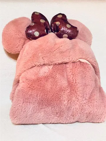 디즈니 리조트, 미니, 판초