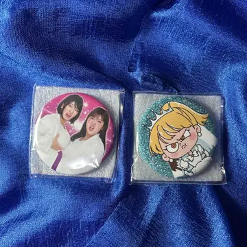 2종류 세트 헤이세이 플라밍고 도움 전시회 캔 거울 배지