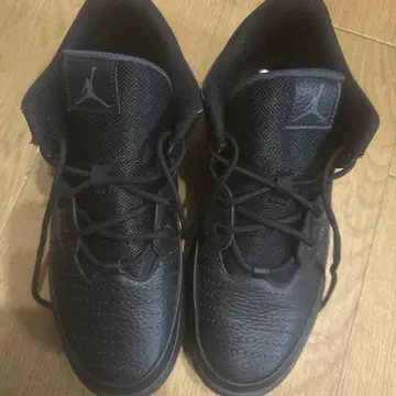 Jordan 블랙 신발 US 8.5