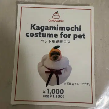 Kagamimochi costume for pet