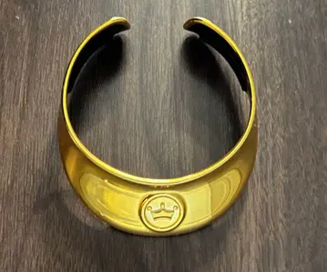 aibo 프리미엄 플랜 한정판 목걸이 골드