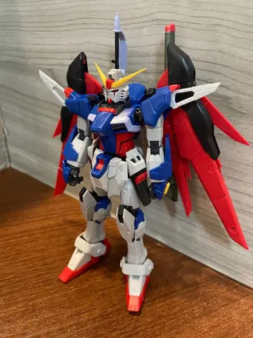 rg 디스티니 건담 정크 완성품