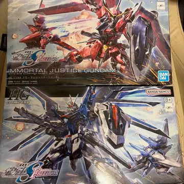 HG 라이징 프리덤 & 이모탈 저스티스