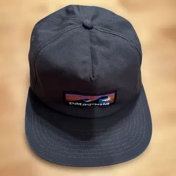 Patagonia 캡