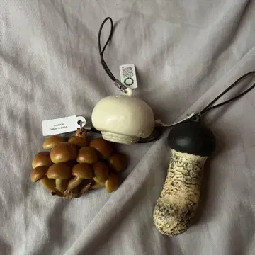 네이처 테크니컬러 버섯 소프트 스트랩 3개 세트