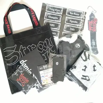 straykids dominATE 업그레이드 혜택 누락 없음