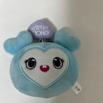 TWICE 나브리 백참