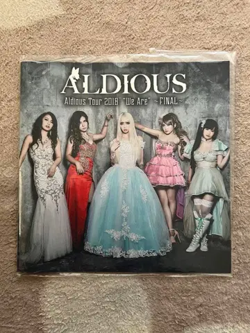 Aldious 알디아스 2018년 투어 팜플렛