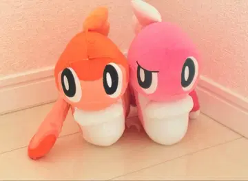 포켓몬 샤리타츠 봉제 인형 2체 세트