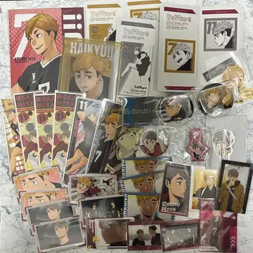 하이큐 미야 아츠무 미야 오사무 묶음 판매