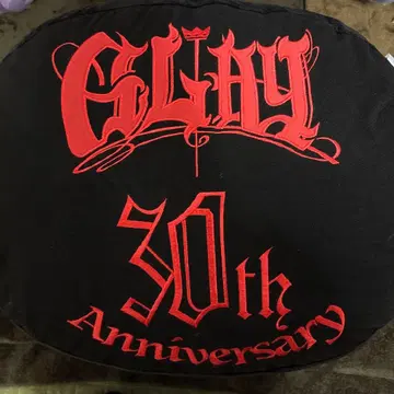 GLAY 30th Anniversary TERU gigo 한정판 쿠션