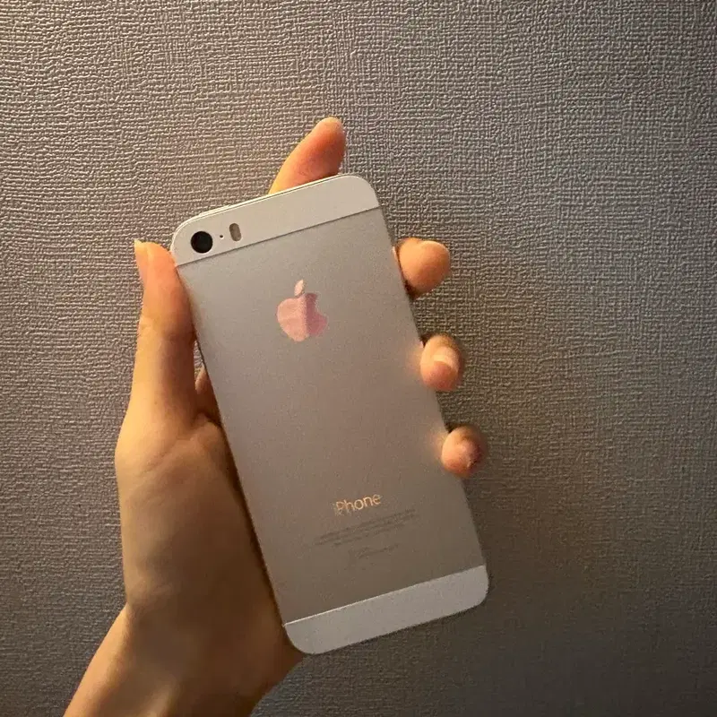 아이폰5s